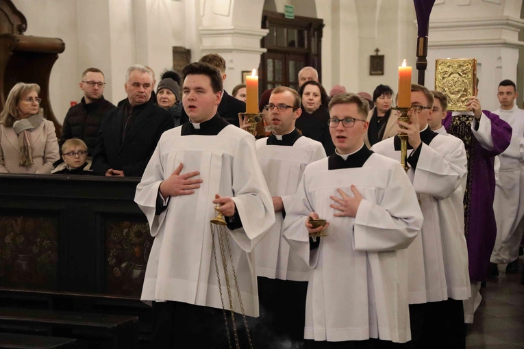 Lektorat i kandydatura