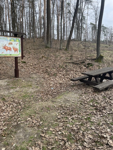 Droga niecodzienności