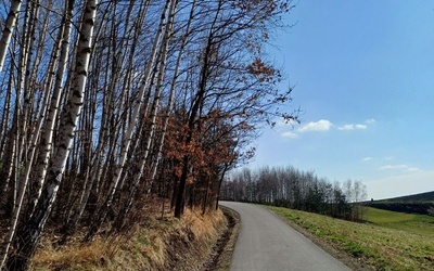 Droga w słoneczne popołudnie zachęca do wędrówki.