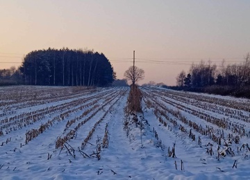 Boska harmonia: nauka, wiara i piękno zimowej przyrody