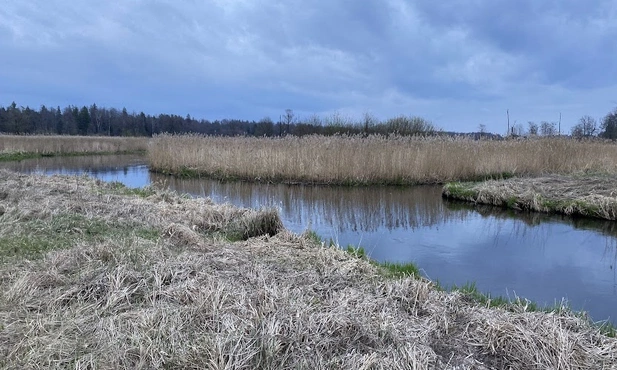 Tu teren bywa bagnisty...