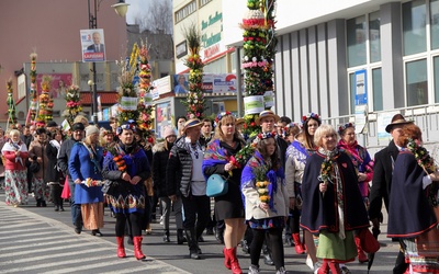 Wielkie kolorowe palmy w Trzebnicy