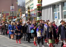 Wielkie kolorowe palmy w Trzebnicy