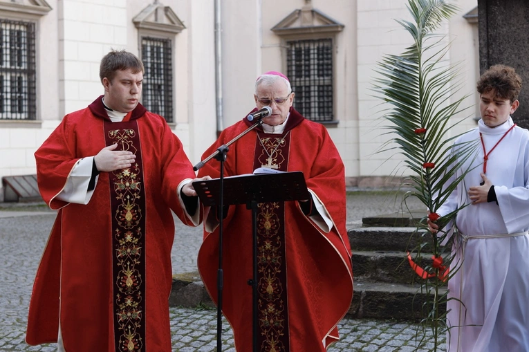 Niedziela Palmowa w świdnickiej katedrze