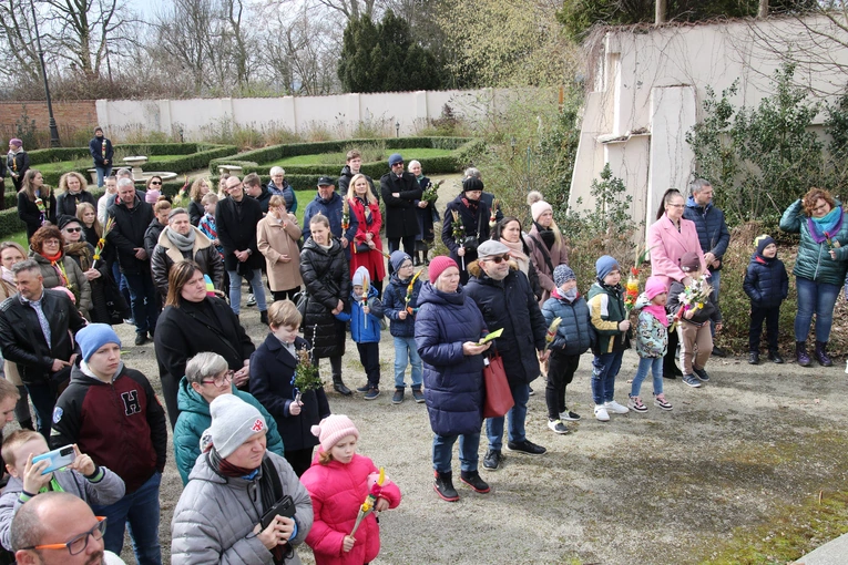 Płock. Niedziela Palmowa w katedrze
