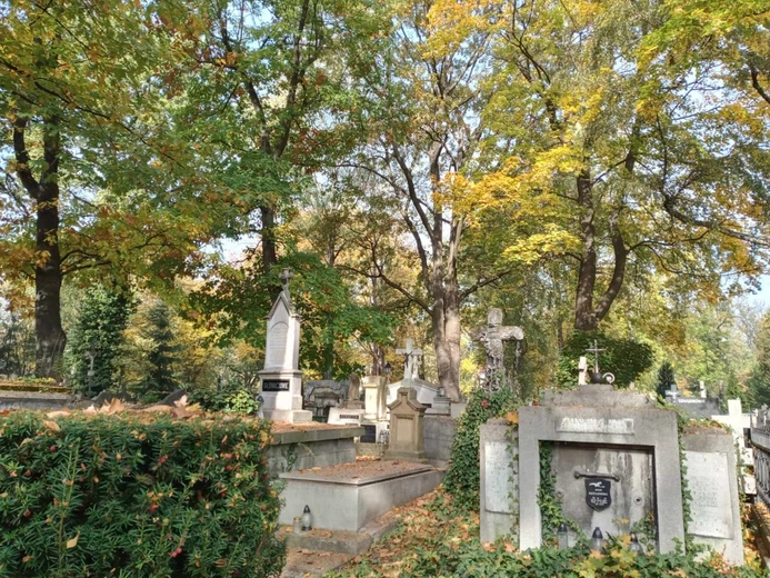 Marzenia w głębi lasu