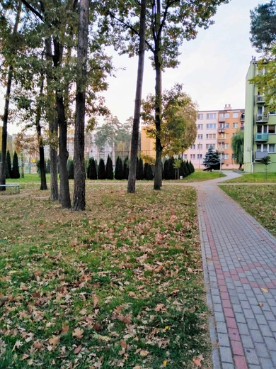 Bohaterowie mojej miejscowości