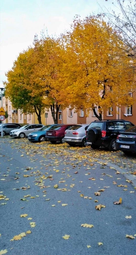 Bohaterowie mojej miejscowości