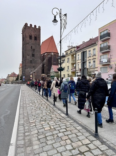 Droga Marii Magdaleny w Środzie Śląskiej