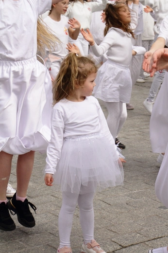 Róża dla Jezusa Miłosiernego 2024