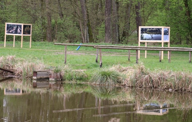 Wystawa "Widzenie świata Sikory"