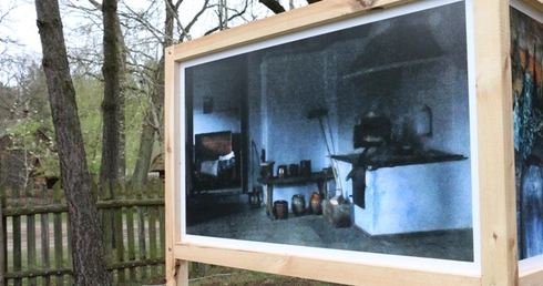 Wystawa "Widzenie świata Sikory"