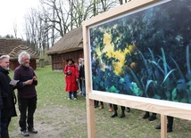 Skansen w obiektywie Tomasza Sikory