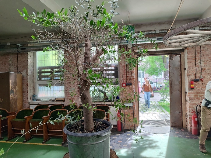 Brat Maciej z Taizé we Wrocławiu