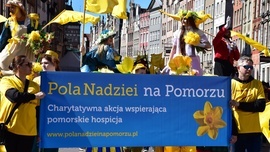 Żonkilowa Parada na rzecz hospicjów