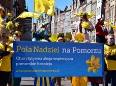 Żonkilowa Parada na rzecz hospicjów