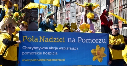 Żonkilowa Parada na rzecz hospicjów