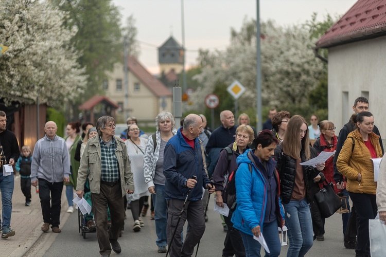 Międzynarodowa Droga Światła