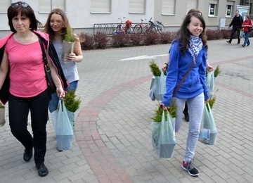 Stalowa Wola. Drzewko za makulaturę