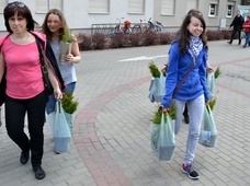 Stalowa Wola. Drzewko za makulaturę