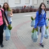 Stalowa Wola. Drzewko za makulaturę