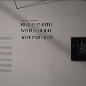 Wystawa "Białe złoto. Józef Wilkoń"