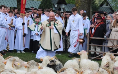 Ludźmierz. Święto Bacowskie z błogosławieństwem stada owiec