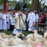 Ludźmierz. Święto Bacowskie z błogosławieństwem stada owiec