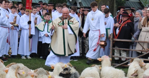 Ludźmierz. Święto Bacowskie z błogosławieństwem stada owiec