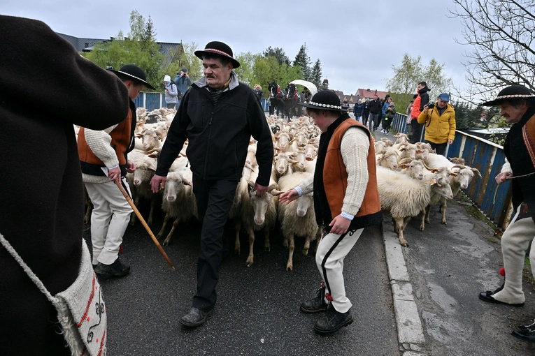 Święto Bacowskie w Ludźmierzu 