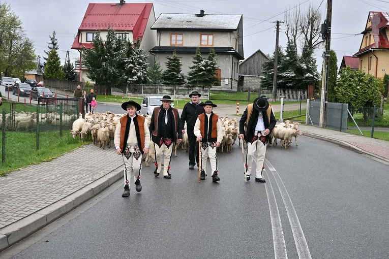 Święto Bacowskie w Ludźmierzu 