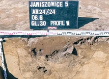 Jawiszowice. Budowa S1 opóźniona. Przyczyną odkrycia archeologów