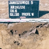 Jawiszowice. Budowa S1 opóźniona. Przyczyną odkrycia archeologów