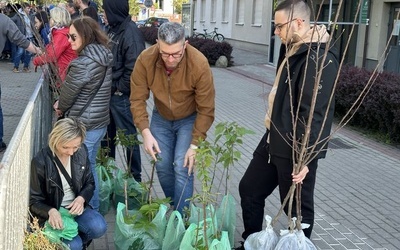 Stalowa Wola. Akcja "Drzewko za makulaturę"