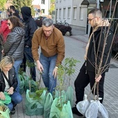 Stalowa Wola. Akcja "Drzewko za makulaturę"