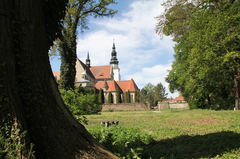 Henrykowski Maraton Rowerowy "Ora et Ride"