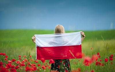 1 sierpnia 1919 r. Sejm Ustawodawczy uchwalił, że „za barwy Rzeczypospolitej Polskiej uznaje się kolor biały i czerwony w podłużnych pasach równoległych, z których górny – biały, dolny zaś – czerwony”.