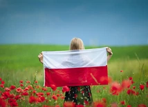 1 sierpnia 1919 r. Sejm Ustawodawczy uchwalił, że „za barwy Rzeczypospolitej Polskiej uznaje się kolor biały i czerwony w podłużnych pasach równoległych, z których górny – biały, dolny zaś – czerwony”.