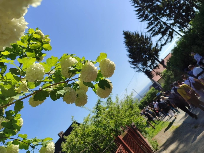 Piesza Pielgrzymka do sanktuarium Matki Bożej Dobrej Rady w Sulistrowiczkach