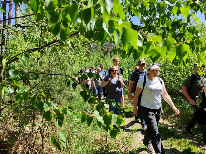 Piesza Pielgrzymka do sanktuarium Matki Bożej Dobrej Rady w Sulistrowiczkach