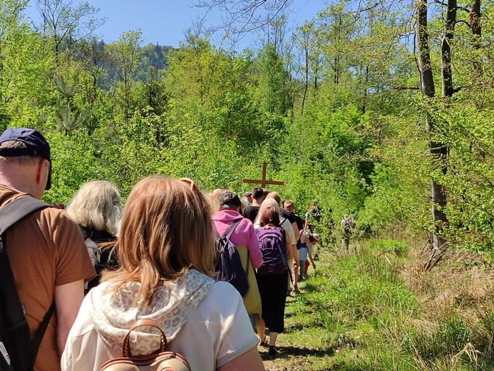 Piesza Pielgrzymka do sanktuarium Matki Bożej Dobrej Rady w Sulistrowiczkach