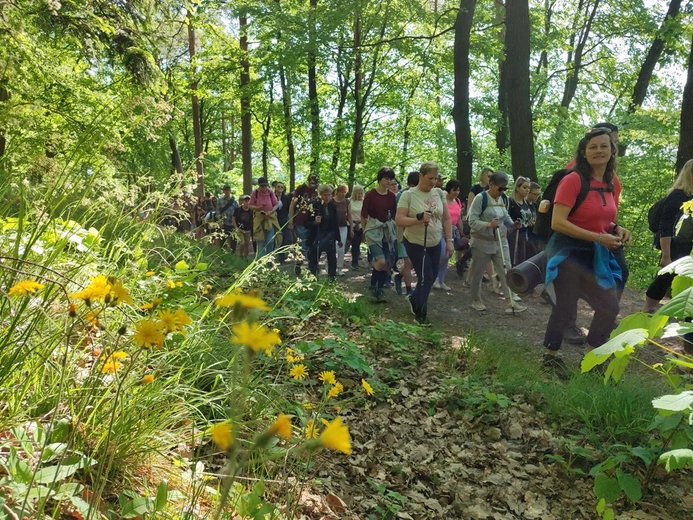 Piesza Pielgrzymka do sanktuarium Matki Bożej Dobrej Rady w Sulistrowiczkach