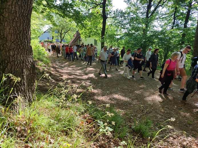 Piesza Pielgrzymka do sanktuarium Matki Bożej Dobrej Rady w Sulistrowiczkach
