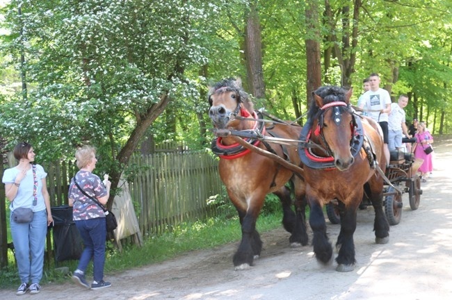 Wydarzenie plenerowe "Koń w tradycji polskiej" w skansenie