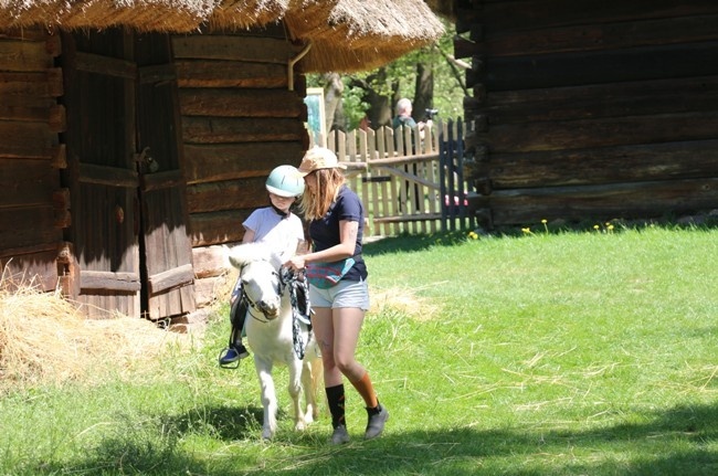 Wydarzenie plenerowe "Koń w tradycji polskiej" w skansenie