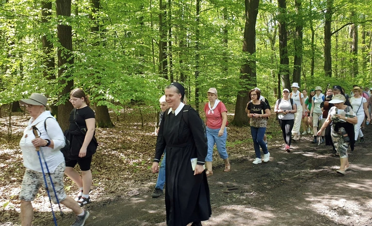 Pielgrzymka szensztacka 2024