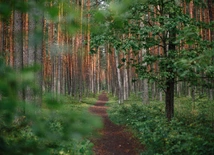 Święta przestrzeń spotkania. Komentarz o. Wojciecha Jędrzejewskiego OP do niedzielnego I czytania