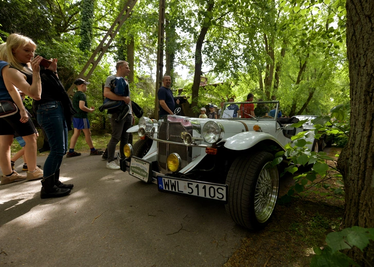 Autosacrum 2024