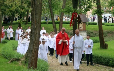 Poświęcenie nowej Drogi Krzyżowej przy kościele w Skarbimierzu