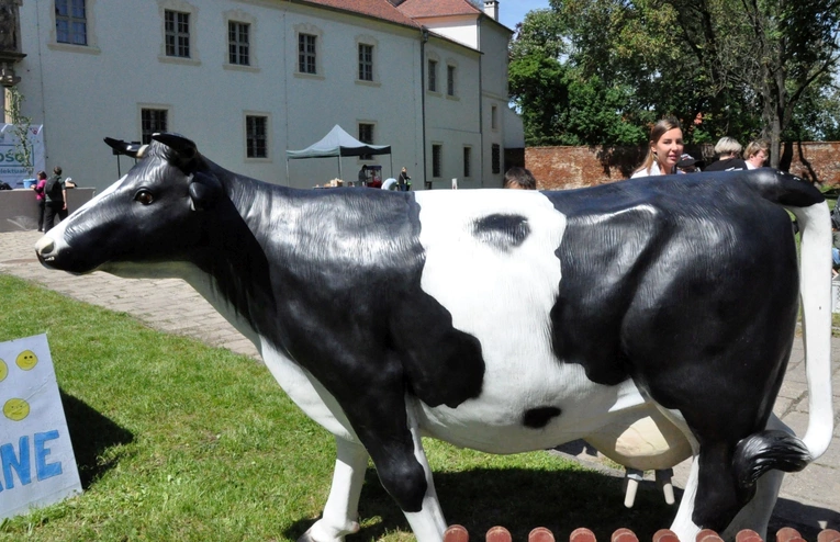 Dzień Godności Osób z Niepełnosprawnością Intelektualną